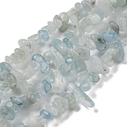 Natural Aquamarine Beads Strands, Chip, 1.5~5x3~13x2~8mm, Hole: 0.6mm, 30.94~31.97''(78.6~81.2cm)(G-G0003-B39)