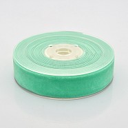 Polyester Velvet Ribbon for Gift Packing and Festival Decoration, Medium Spring Green, 7/8 inch(23mm), about 25yards/roll(22.86m/roll)(SRIB-M001-23mm-323)