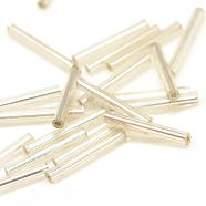 Silver Lined Transparent Glass Bugle Beads, Clear, 20x2.5mm, Hole: 0.5mm, about 2000~2500pcs/bag(SEED-R028-2x20-B02)