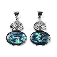 Natural Paua Shell Pendants, Platinum Tone Alloy Pave Crystal Rhinestone Gourd Charms, Colorful, 43.5x28x7.5mm, Hole: 6.2x7.5mm(FIND-A036-01P-01)