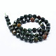 Natural Bloodstone Beads Strands(G-F523-16-10mm)-2
