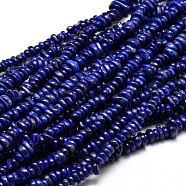 Natural Lapis Lazuli Chip Beads Strands, 4~14x4~12mm, Hole: 1mm, about 15.3 inch~16.1 inch(X-G-E271-121)