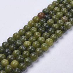 Natural Gemstone Beads, Taiwan Jade, Round, Olive, about 8mm in diameter, hole: 1mm, about 50pcs/strand, 16 inch(Z0NCT013)