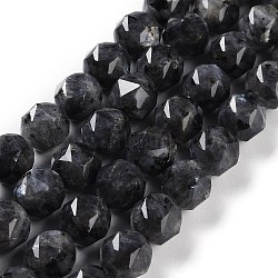 Natural Larvikite Beads Strands, Faceted, Double Hearted & Star Cut Beads, 8.5~10.5x9~10.5mm, Hole: 0.8mm, about 40~42pcs/strand, 15.43~15.94 inch(39.2~40.5cm)(G-NH0021-A04-02)