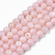 Natural Freshwater Shell Beads Strands, Dyed, Round, Pink, 4mm, Hole: 0.8mm, about 97~99pcs/strand, 14.88 inch~15.16 inch(37.8~38.5cm)(X-SHEL-N003-24-B09)