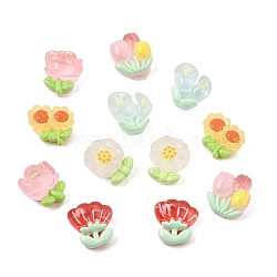 Transparent Resin Cabochons, Flower, Mixed Color, 13.5~15.5x12.5~14.5x6~8mm(RE-CBA740C-01)