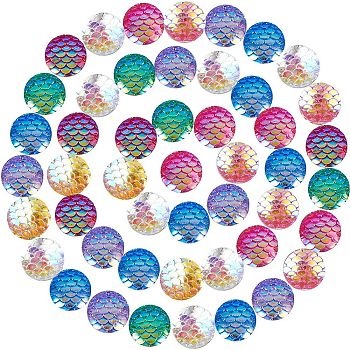 Resin Cabochons, Flat Round with Fish Scale, Mixed Color, 12x3mm
