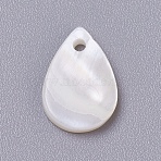 Shell Pendants, Teardrop, 13.5x9x1.5mm, Hole: 1.5mm(SSHEL-TAC0001-06B)