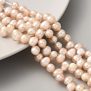 Natural Cultured Freshwater Pearl Beads Strands, Top Drilled, Rice, Grade 3A, PeachPuff, 5~5.5mm, Hole: 0.5mm, about 37pcs/strand, 7.09 inch(18cm)(PEAR-A006-25A)