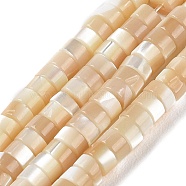Natural Trochus Shell Beads Strands, Flat Round/Disc, Heishi Beads, Faceted, Navajo White, 3.5~4x2~2.5mm, Hole: 0.8mm, about 171~173pcs/strand, 16.14~16.38''(41~41.6cm)(BSHE-E030-09B-02)