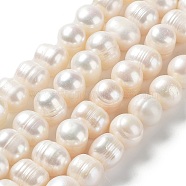 Natural Cultured Freshwater Pearl Beads Strands, Potato, Grade A+, Antique White, 10~12.5x9~10mm, Hole: 0.6mm, about 38pcs/strand, 14.69''(37.3cm)(PEAR-E019-08)