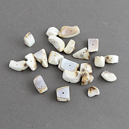 Natural Irregular Tiger Cowrie Shell Chips Beads, Shell Shards, Creamy White, 10~20x10~12x6~8mm, Hole: 1.5mm(X-SSHEL-S001-02)