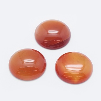 Natural Carnelian Cabochons, Half Round, 24.5x7~8mm
