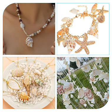 superfindings 5 styles de perles de coquillage(SHEL-FH0001-22)-7