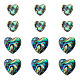12Pcs 2 Styles Natural Abalone Shell/Paua Shell Beads(SHEL-TA0001-41)-2