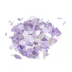Natural Amethyst Chip Beads, No Hole/Undrilled, 2~8x2~4mm, about 8500pcs/500g(G-O103-10)