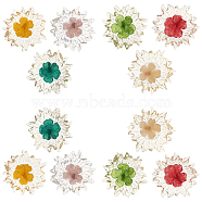 SUNNYCLUE 12Pcs 6 Colors Transparent Clear Epoxy Resin Cabochons, with Dried Flower Inside, Flower, Mixed Color, 32~35x6mm, 2pcs/color(CRES-SC0001-89)