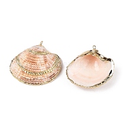 Natural Scallop Shell Pendants, Shell Shaped Charms with Golden Tone Iron Loops, Sandy Brown, 39~40x42.5~46x14mm, Hole: 1.6mm(SSHEL-N038-15)