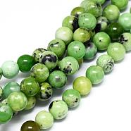 Natural Serpentine Beads Strands, Round, 8mm, Hole: 1.2mm, about 51pcs/strand, 15.9 inch(40.5cm)(G-F576-01-8mm)