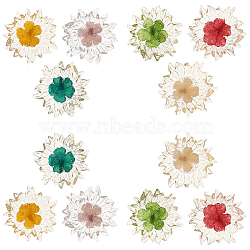 SUNNYCLUE 12Pcs 6 Colors Transparent Clear Epoxy Resin Cabochons, with Dried Flower Inside, Flower, Mixed Color, 32~35x6mm, 2pcs/color(CRES-SC0001-89)