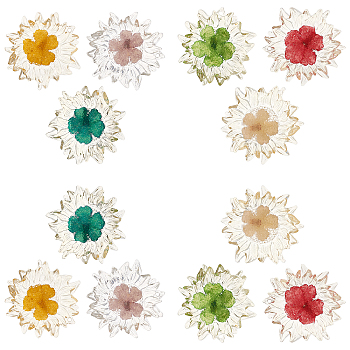 SUNNYCLUE 12Pcs 6 Colors Transparent Clear Epoxy Resin Cabochons, with Dried Flower Inside, Flower, Mixed Color, 32~35x6mm, 2pcs/color