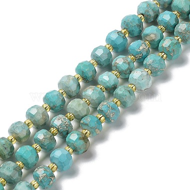 Pale Turquoise Rondelle Howlite Beads