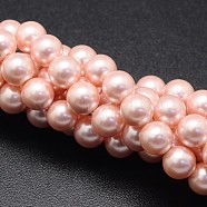 Shell Pearl Beads Strands, Round, Light Coral, 8mm, Hole: 1mm, about 49pcs/strand, 16 inch(BSHE-E008-8mm-13)