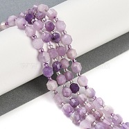 Natural Lepidolite Beads Strands, Faceted, Bicone, Double Terminated Point Prism Beads, 5x6mm, Hole: 1mm, about 41pcs/strand, 14.96''(38cm)(G-O201B-108E)