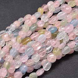 Natural Morganite Chip Beads Strands, 6~9x5~7mm, Hole: 1mm, about 15.5 inches(G-E271-131)