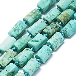 Natural Peruvian Turquoise(Jasper) Beads Strands, Nuggets, Semi-matte Style, 6~12x6~7mm, Hole: 0.8mm, about 26~35pcs/strand, 15.55''~16.14''(39.5~41cm)(G-O170-138)