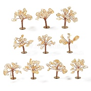 Natural Citrine Chips Display Decorations, with Golden Plated Brass Wires, Lucky Tree, 24~27x32~41x33~42mm(G-Z016-13B)