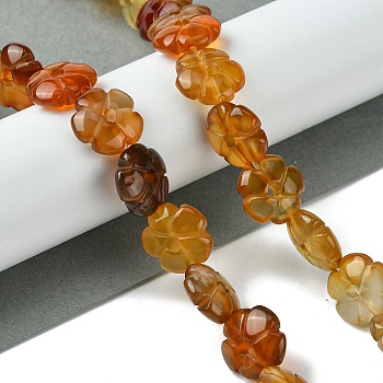 Natural Red Agate Beads Strands, Flower, 14x14x5.5mm, Hole: 1.2mm, about 29pcs/strand, 14.80''(37.6cm)