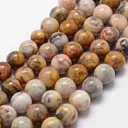 Natural Crazy Lace Agate Beads Strands, Round, 8mm, Hole: 1mm, about 49pcs/strand, 15 inch(X-G-D840-70-8mm)