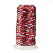Segment Dyed Round Polyester Sewing Thread, for Hand & Machine Sewing, Tassel Embroidery, Red, 3-Ply 0.2mm, about 1000m/roll(OCOR-Z001-A-17)