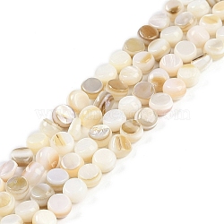 Natural Freshwater Shell  Beads Strands, Flat Round, Floral White, 6~6.5x3.5~4mm, Hole: 0.7mm, about 62~63pcs/strand, 15.16~15.35''(38.5~39cm)(BSHE-H109-11)