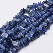 Natural Kyanite/Cyanite/Disthene Chip Beads Strands, 5~14x2~8mm, Hole: 1mm, about 15.5 inch~16.1 inch(X-G-E271-78)