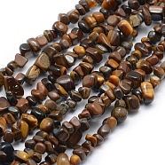 Natural Tiger Eye Beads Strands, Chip, 5~8mm, Hole: 1mm, about 33 inch(84cm)(X-G-P332-45)