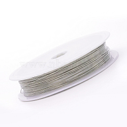 Round Copper Wire for Jewelry Making, Silver, 26 Gauge, 0.4mm, about 16.4 Feet(5m)/roll(X-CWIR-N001-0.4mm-10)