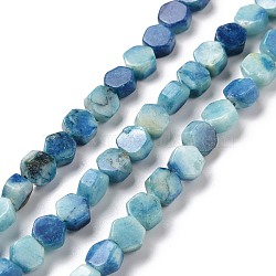 Natural Calcite Beads Strands, Dyed, Hexagon, Light Sky Blue, 6.5x6x3.5mm, Hole: 1mm, about 64pcs/strand, 15.94 inch(40.5cm)(G-G852-06B)