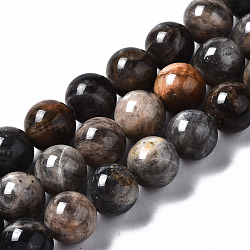 Natural Black Sunstone Beads Strands, Round, 8~9mm, Hole: 0.9mm, about 47pcs/strand, 15.67 inch(39.8cm)(G-N328-48A-01)