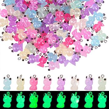 60Pcs Luminous Transparent Resin Pendants, 3D Frog Charms, Glow in Dark, with Stainless Steel Color Plated 304 Stainless Steel Loops, Mixed Color, 17x12.5x10mm, Hole: 1.8mm