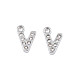 304 Stainless Steel Charms(STAS-N095-137V)-1
