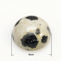 Gemstone Cabochons, Half Round/Dome, Dalmatian Jasper, 8x3.5mm(X-G-H1596-FR-8mm-02)