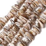 Natural Freshwater Shell Beads Strands, Nuggets, Camel, 2.5~5x9.5~15.5x4.5~6mm, Hole: 0.7mm, about 97~100pcs/strand, 14.17~14.76''(36~37.5cm)(X-SHEL-A006-05)