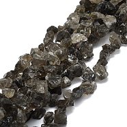 Raw Rough Natural Smoky Quartz Beads Strands, Chip, 8~18x7~14x4~11mm, Hole: 1.2mm, about 50~51pcs/strand, 16.14''(41cm)(G-E576-24)