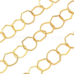 Rack Plating Brass Hexagon Link Chains, Soldered, with Spool, Golden, 9.5x10x1mm, about 16.40 Feet(5m)/Roll(CHC-N009-03G)