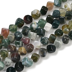 Natural Indian Agate Beads Strands, Cube, 7.5~8.5x6.5~8.5x5.5~6.5mm, Hole: 0.7mm, about 52~56pcs/strand, 15.16~15.87''(38.5~40.3cm)(G-A257-A12-01)