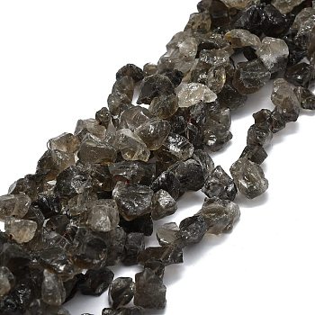 Raw Rough Natural Smoky Quartz Beads Strands, Chip, 8~18x7~14x4~11mm, Hole: 1.2mm, about 50~51pcs/strand, 16.14''(41cm)