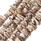 Natural Freshwater Shell Beads Strands(X-SHEL-A006-05)-1
