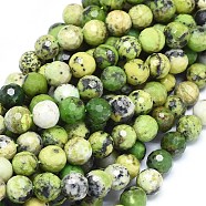 Natural Serpentine Beads Strands, Grade AB, Faceted, Round, 6mm, Hole: 1mm, about 64pcs/strand, 15.3 inch(39cm)(G-O180-03-6mm)